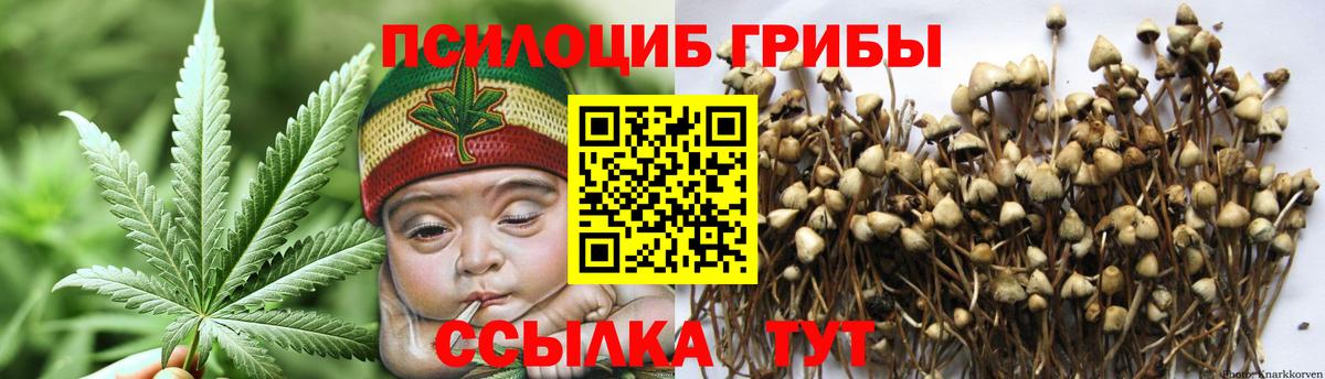 Галлюциногенные грибы мицелий Сердобск